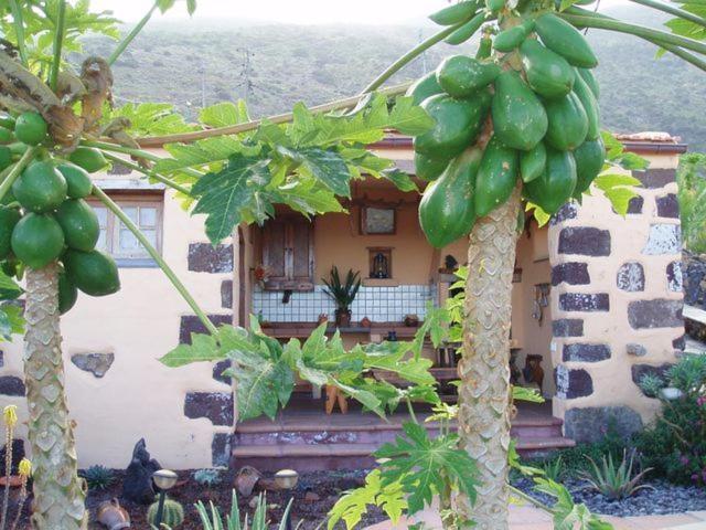 Casa De Mi Abuela Maria ξενώνας Φροντέρα Εξωτερικό φωτογραφία